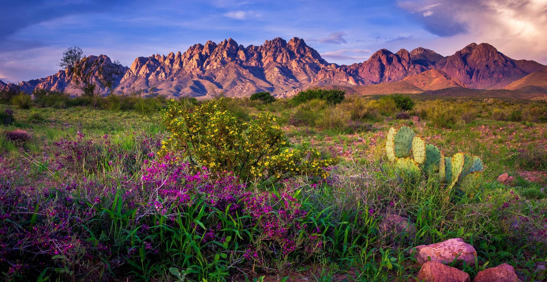 Women's Reproductive Clinic of New Mexico in Santa Teresa, New Mexico abortion pill clinic near Texas Mexican border.