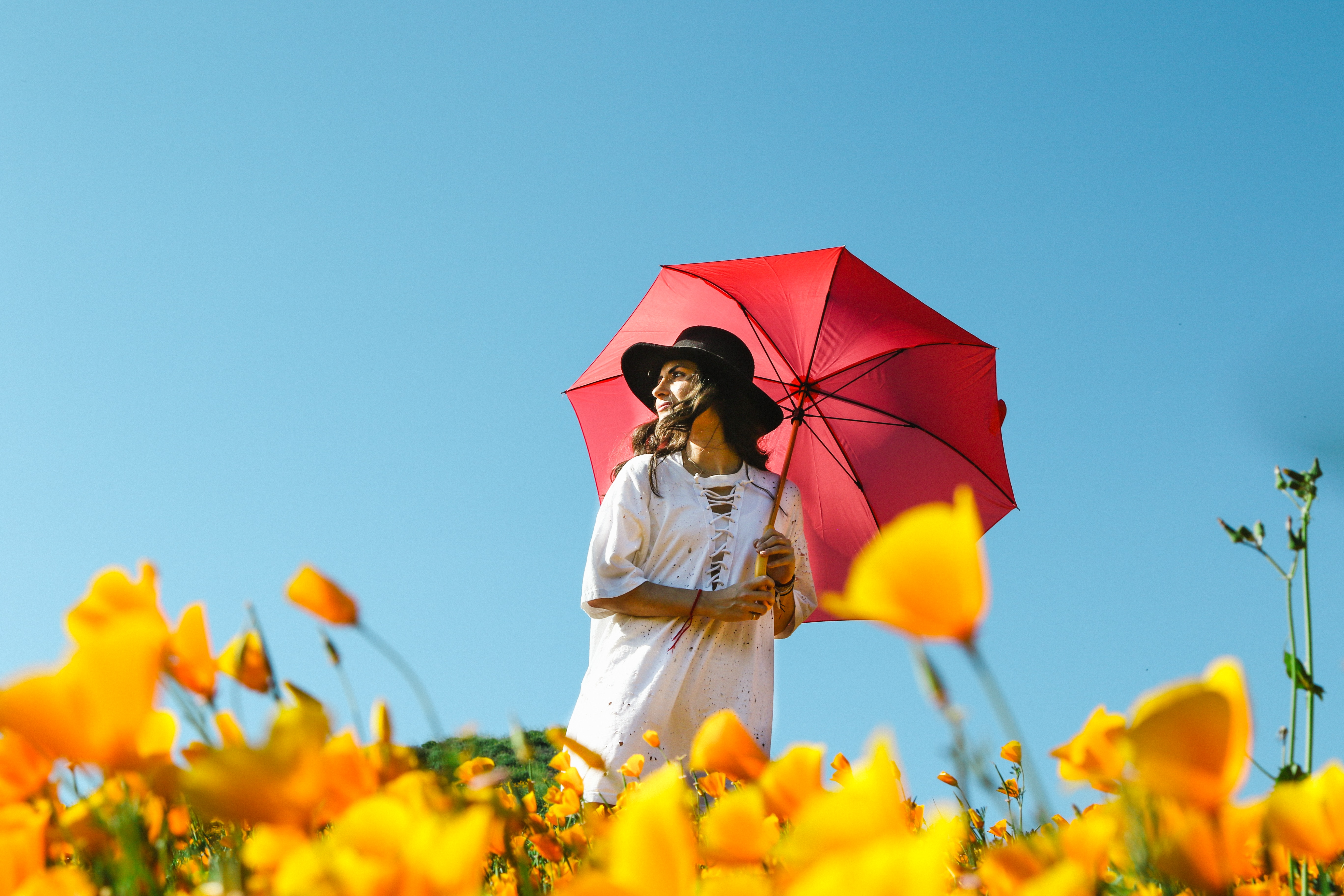 woman-standing-in-yellow-flower-field-black-hat-red-umbrella-blue-sky-background