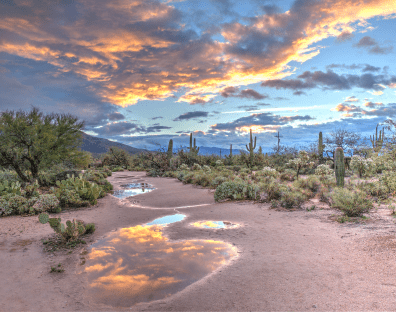 Abortion clinic Tucson AZ - arizona-desert-iridescent-sky-sunset