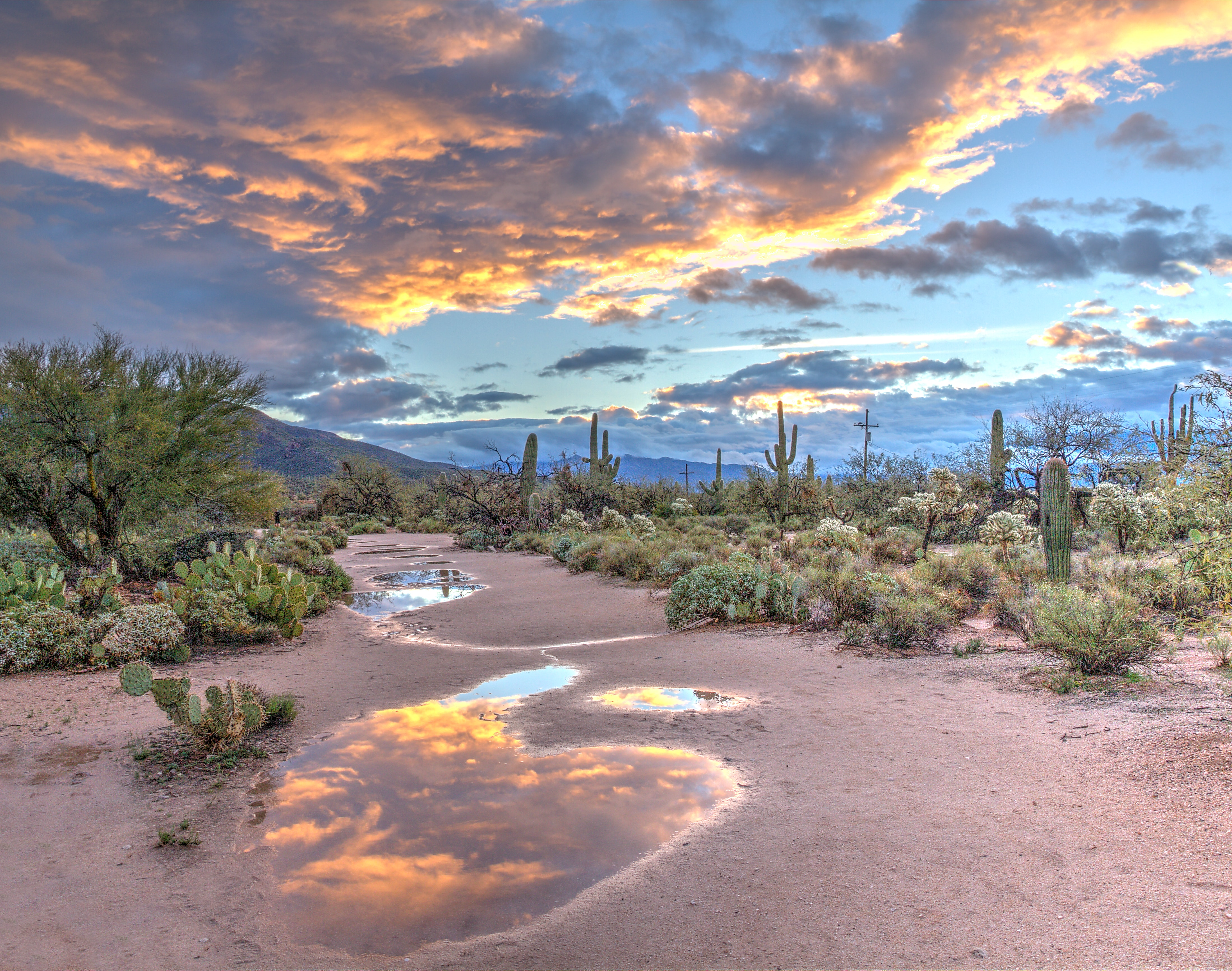 arizona-desert-iridescent-sky-sunset