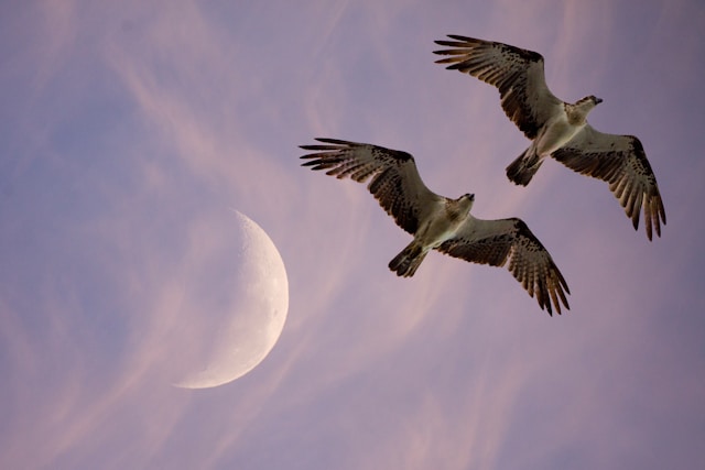 • Women's Reproductive Clinic of New Mexico pregnant-with-twins-and-abortion-visit-new-mexico